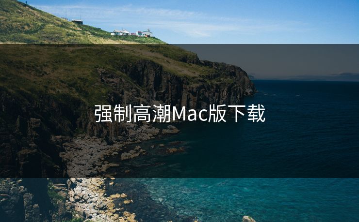强制高潮Mac版下载