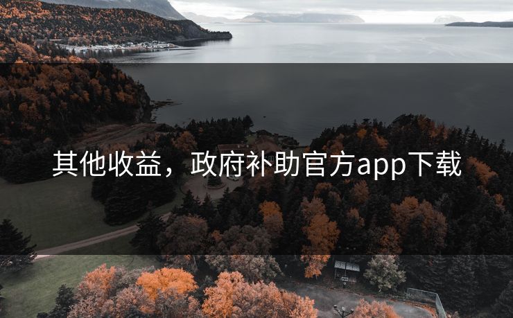 其他收益，政府补助官方app下载