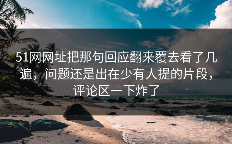 51网网址把那句回应翻来覆去看了几遍，问题还是出在少有人提的片段，评论区一下炸了
