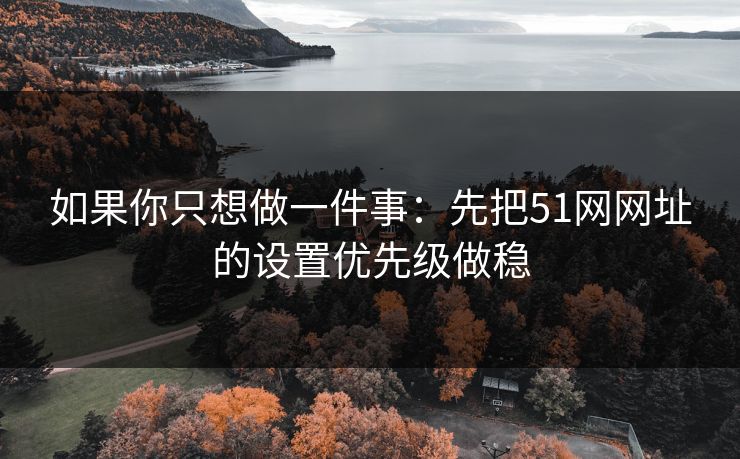 如果你只想做一件事：先把51网网址的设置优先级做稳