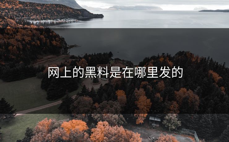 网上的黑料是在哪里发的
