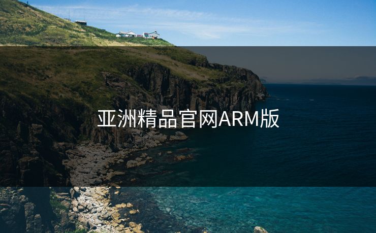 亚洲精品官网ARM版