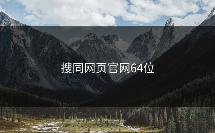 搜同网页官网64位