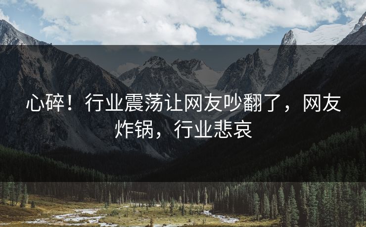 心碎！行业震荡让网友吵翻了，网友炸锅，行业悲哀