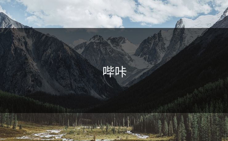 哔咔