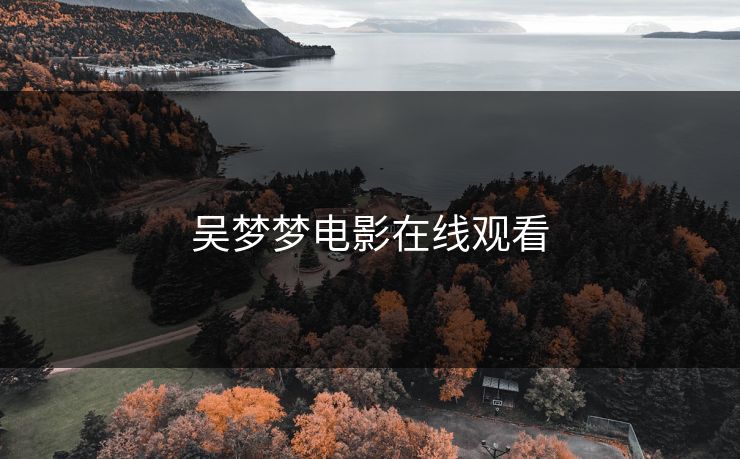 吴梦梦电影在线观看